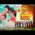 Chudi Bindiya  New Nagpuri Dance Song 2024  Santosh Dswali  Vinay Kumar & Anita Bara